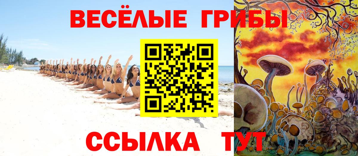 Псилоцибиновые грибы прущие грибы  Вход с VPN  Краснокаменск 