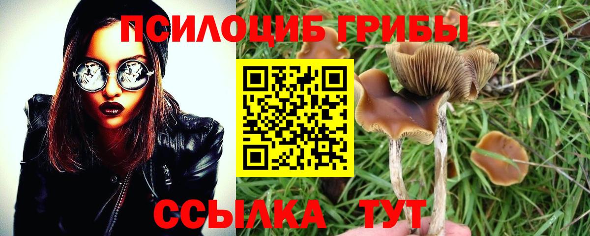 Галлюциногенные грибы MAGIC MUSHROOMS Краснокаменск
